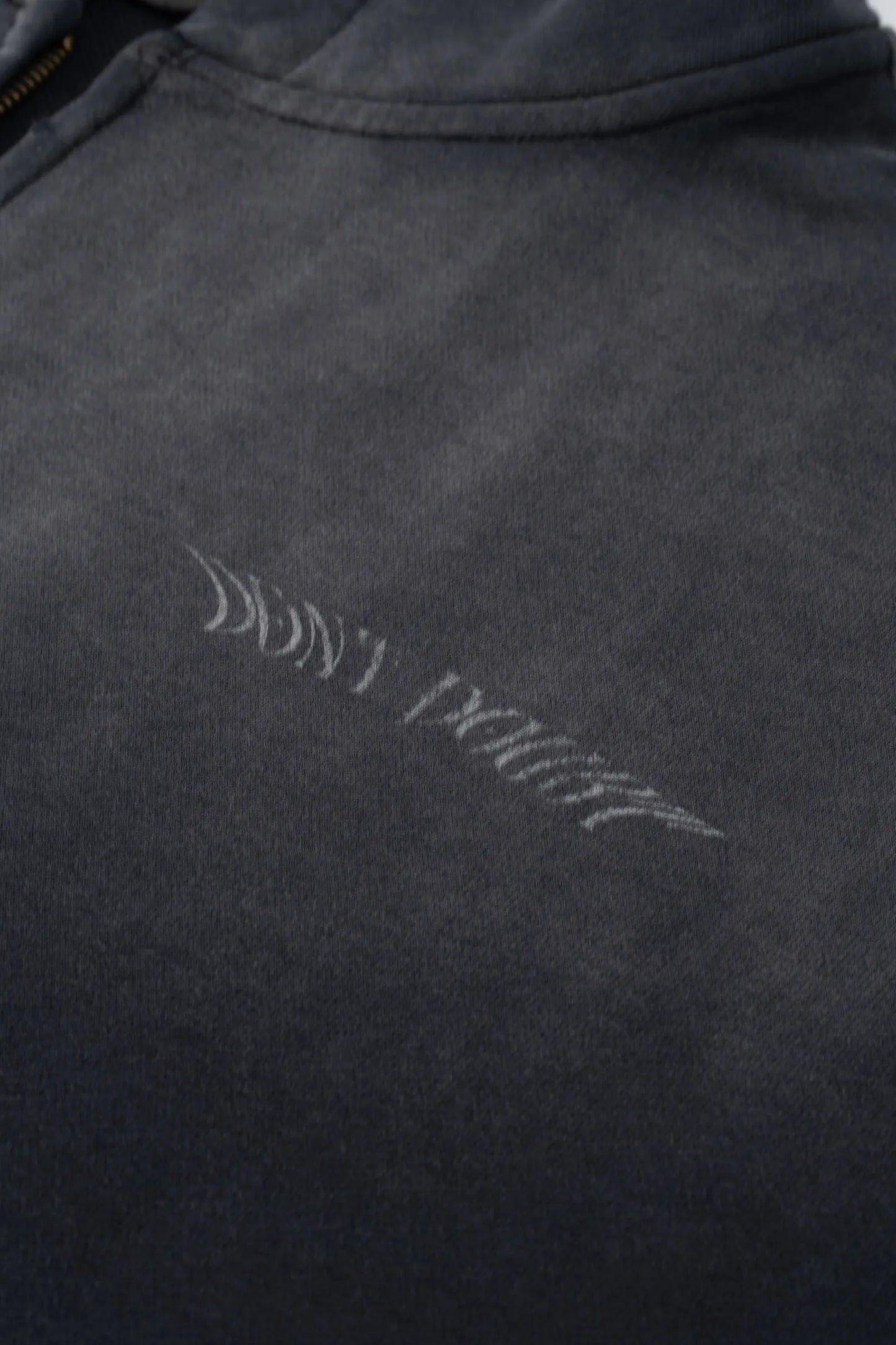 Washed Winged Emblem Hoodie